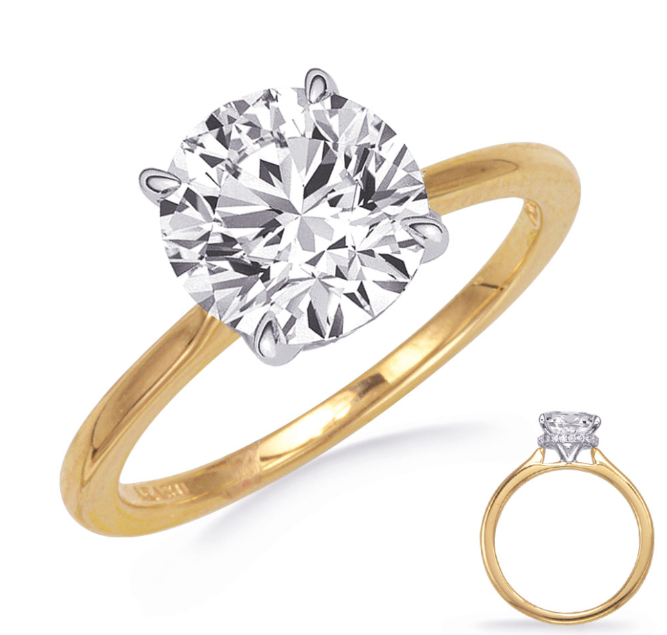 S.Kashi Hidden Halo Solitaire Engagement Ring