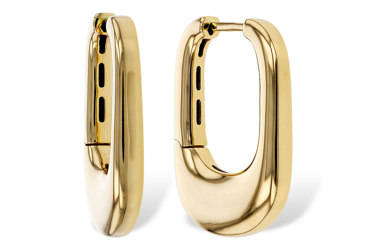 Allison Kaufman Hoop Earrings