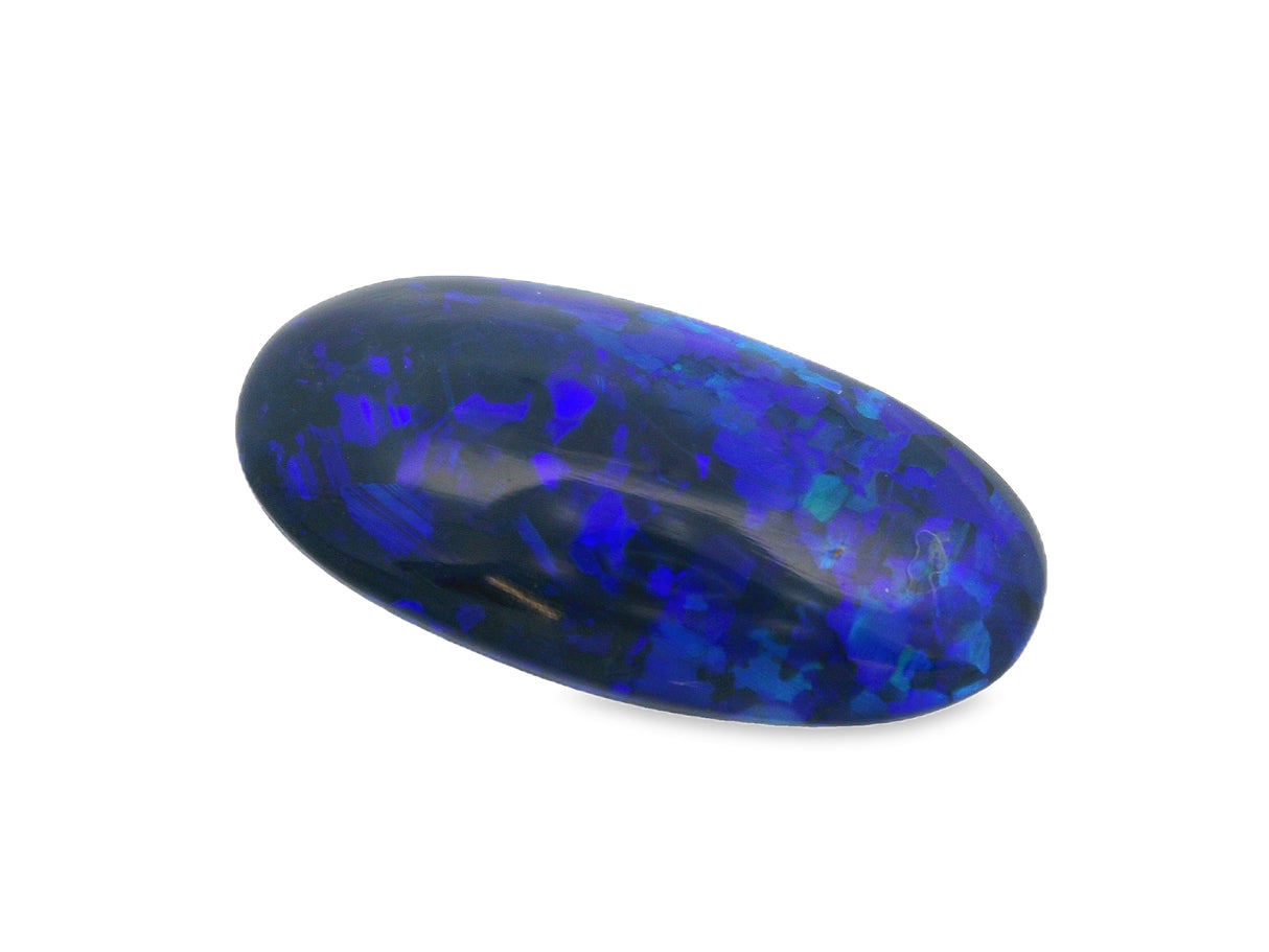Double Cabachon Black Opal