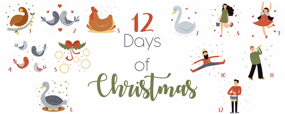 4th Annual 12 Days of Christmas Giveaway