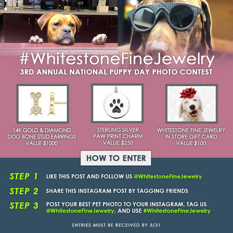 3rd Annual National Puppy Day Photo Contest