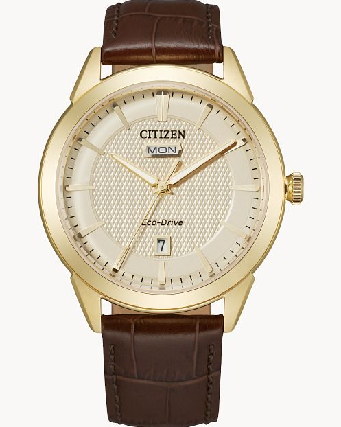 Citizen - Rolan