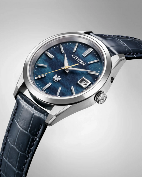 Citizen - The Citizen