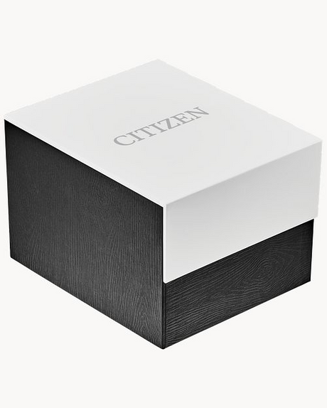 Citizen - Nighthawk