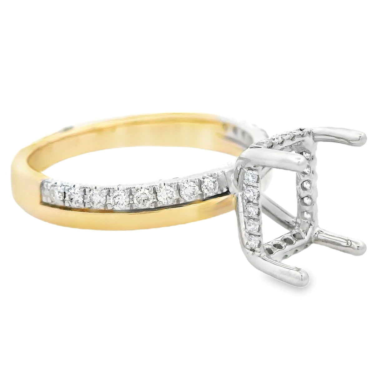 Herra Moti Hidden Halo Engagement Ring