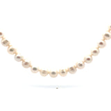 Freshwater Pearl Necklace