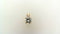 Diamond Pendants