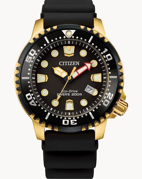 Citizen - Promaster Dive