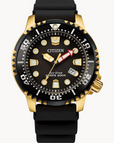 Citizen - Promaster Dive