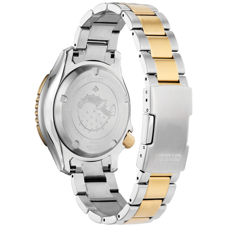 Promaster Dive Automatic